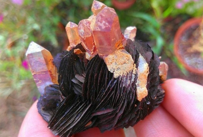 public gem mines