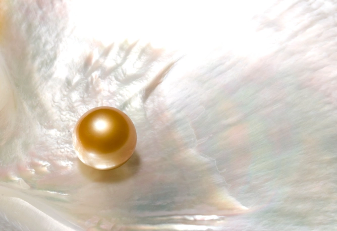pearl jewelry pearl jewelry