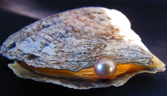 pearl value pearl value