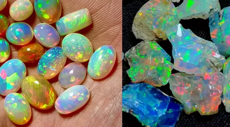 opal care opal care