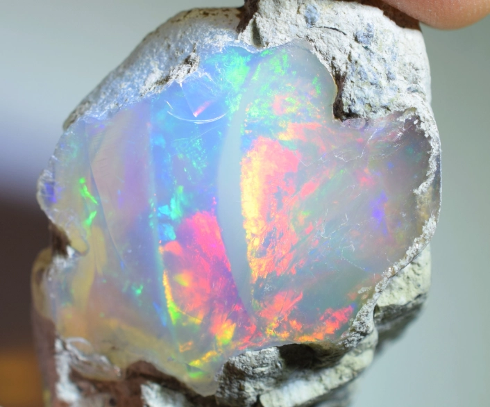 opal value opal value
