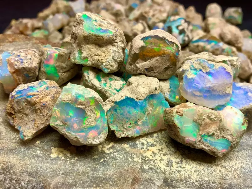opal value opal value