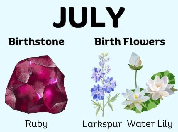 Birthstone and Birth Flowers: The Ultimate Guide & Complete Monthly List
