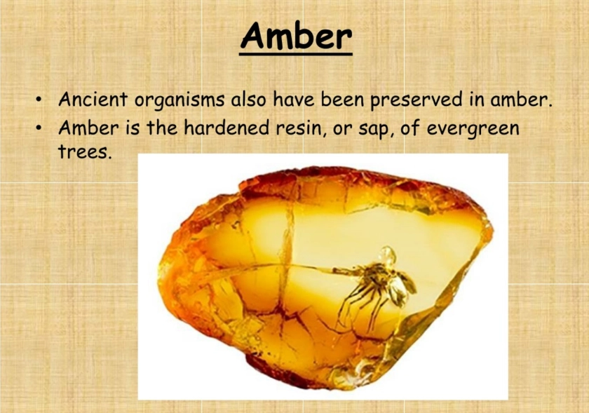 Amber Spiritual Meaning: Sunlight, Wisdom & Healing Explained